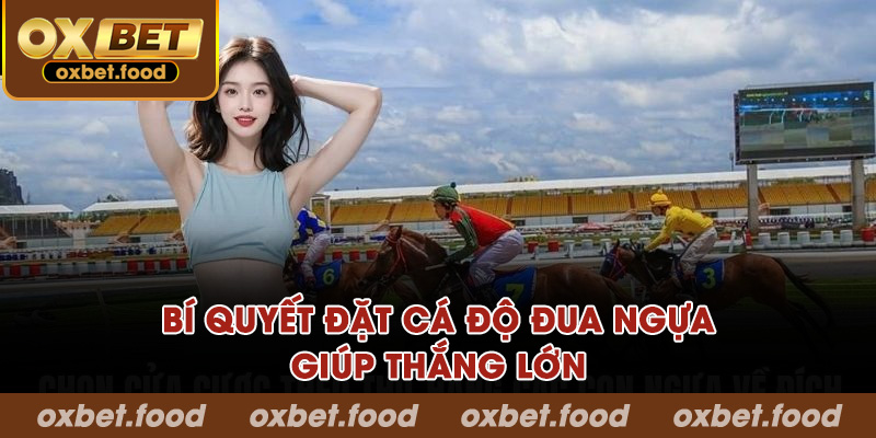 Bí quyết đặt cá độ đua ngựa giúp thắng lớn