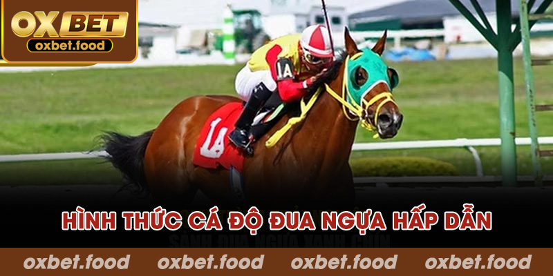 Hình thức cá độ đua ngựa hấp dẫn