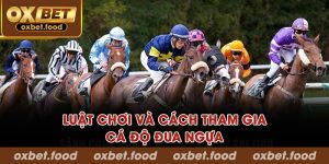 Luật chơi và cách tham gia cá độ đua ngựa