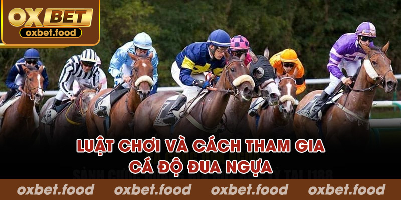 Luật chơi và cách tham gia cá độ đua ngựa