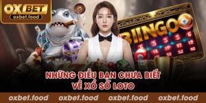 Những điều bạn chưa biết về xổ số Loto