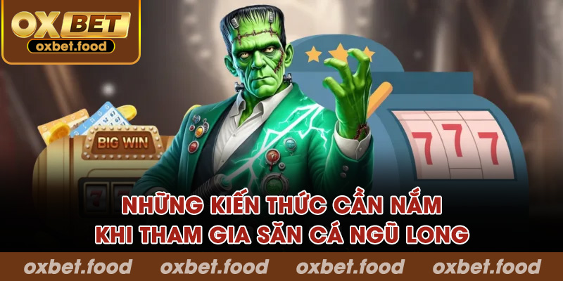 Những kiến thức cần nắm khi tham gia săn cá Ngũ Long