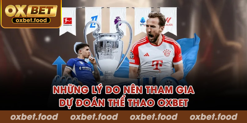 Những lý do nên tham gia dự đoán thể thao OXBET